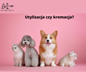 Utylizacja czy kremacja - co wybrać?