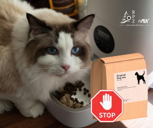 Czy kot może jeść karmę dla psa?