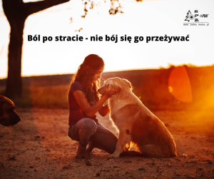 Ból po stracie zwierzęcia